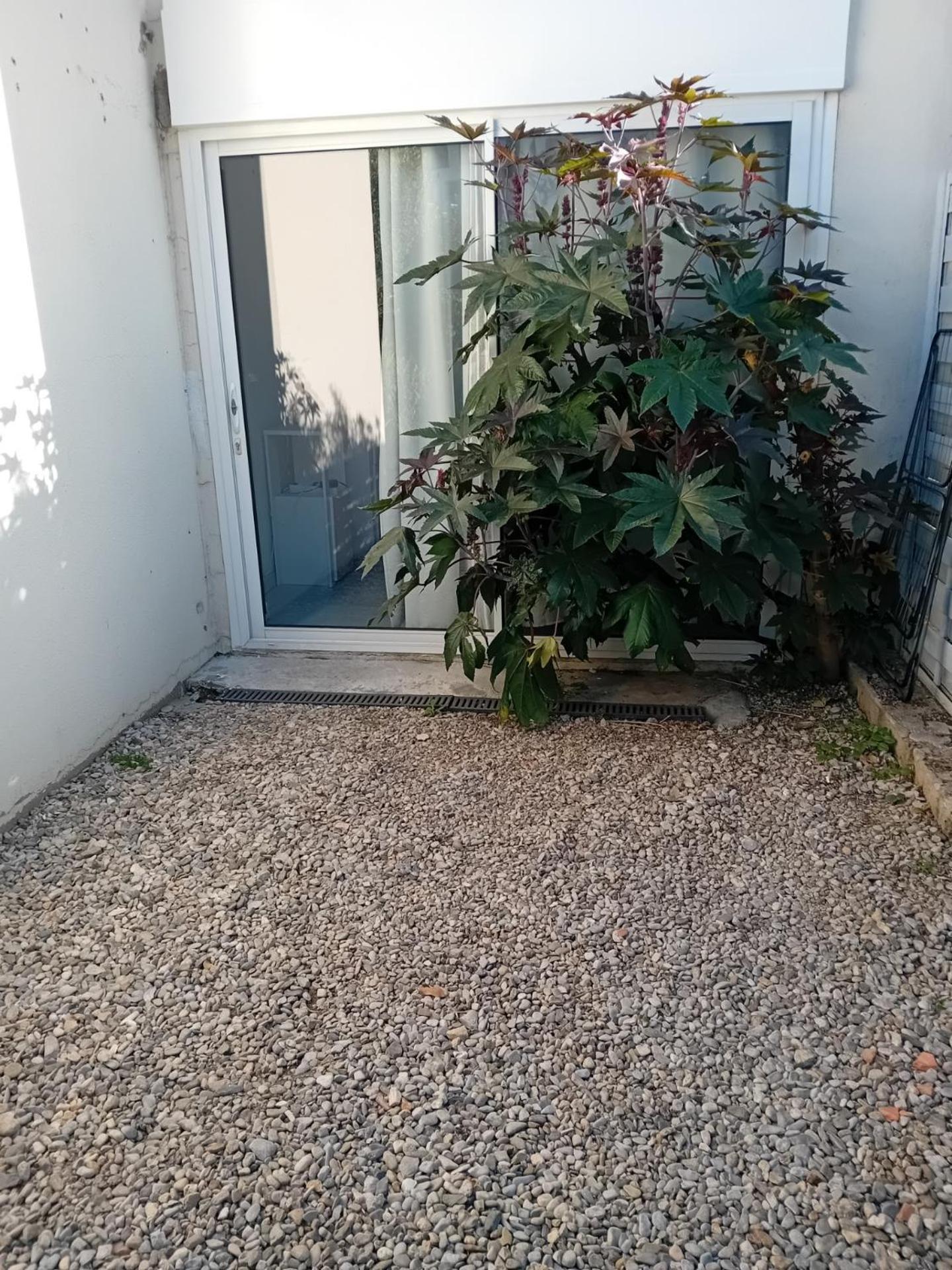 Studio Meuble Wifi A Proximite Du Tram Castelnau-le-Lez Exteriör bild